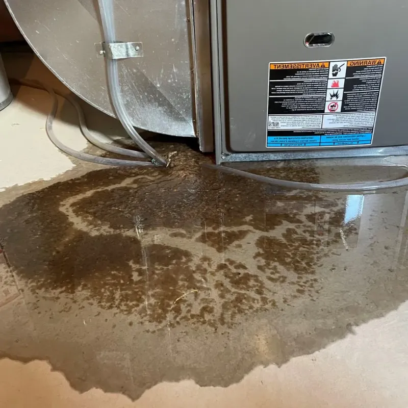 Pipe Burst and Leak Restoration in Avoca, IA