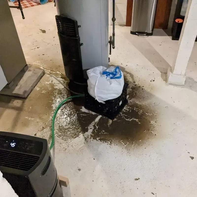 Sewage Backup Cleanup Service in Avoca, IA